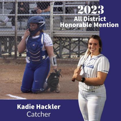Lady Cats garner all-district honors