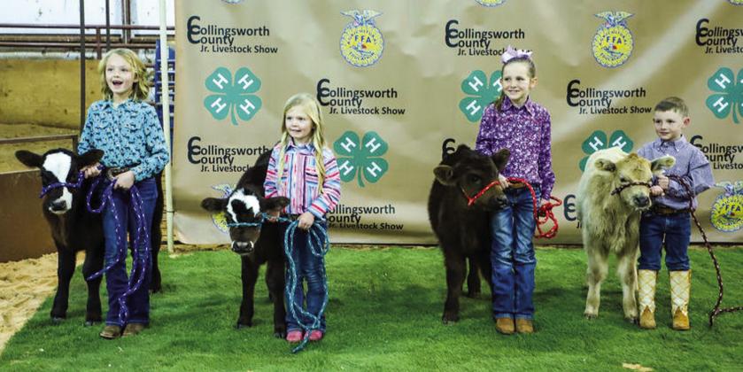 Youth exhibit projects at annual Collingsworth County Livestock Show
