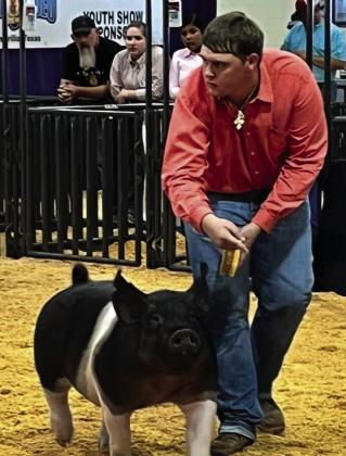 Wellington’s Hunter Stark shows his Duroc swine project at the 2022 Tri-State Fair last Sunday, Sept. 18, where he earned Reserve Breed Champion. “I’m proud of his hard work and willingness to do more every day,” Collingsworth County AgriLife Extension Agent Kenny Patterson said. “I look froward to watching him in the show ring his senior year.”