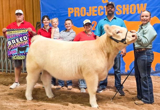 Memphis sisters make mark at King County heifer show