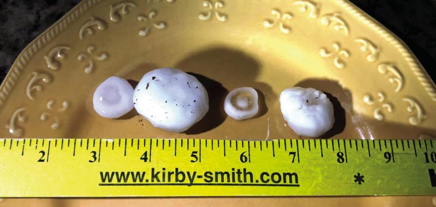 Hail, ranging up to two inches in diameter, accompanied by high-speed winds, swept Childress, Collingsworth and Hall Counties Sunday, Feb. 26, damaging multiple properties. The Red River Sun/Bev Odom