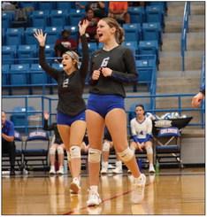 Lady Cats sting Hornets