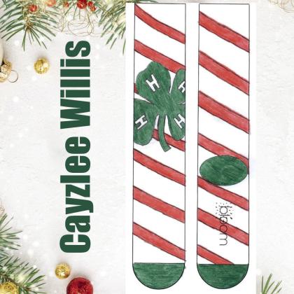 Childress County 4-Hers, including Junior Division winner Cambri Willis, recently competedintheTexas4-HYouthDevelopment Foundation Christmas Sock Design Contest. Graphics Courtesy of Texas 4-H Youth Development Foundation Christmas Sock Design Contest