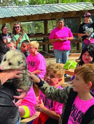Wellington Elementary School second graders and their teaches, Debbie George and Becky Lampe, explore the Amarillo Zoo Wednesday, April 23. During the field trip, students watched Bagheera, a melanistic jaguar, trying to catch a ball in his habitat. Over 120 animals representing more than 70 species from around the world call the Amarillo Zoo home.