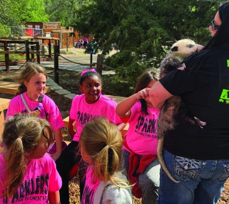 Wellington Elementary School second graders and their teaches, Debbie George and Becky Lampe, explore the Amarillo Zoo Wednesday, April 23. During the field trip, students watched Bagheera, a melanistic jaguar, trying to catch a ball in his habitat. Over 120 animals representing more than 70 species from around the world call the Amarillo Zoo home.