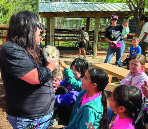 Wellington Elementary School second graders and their teaches, Debbie George and Becky Lampe, explore the Amarillo Zoo Wednesday, April 23. During the field trip, students watched Bagheera, a melanistic jaguar, trying to catch a ball in his habitat. Over 120 animals representing more than 70 species from around the world call the Amarillo Zoo home. Wellington Elementary School