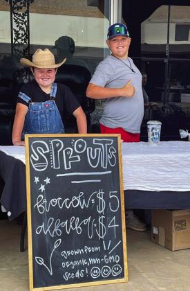 Area farmers,artisans set up shop at Childress Farmers Market