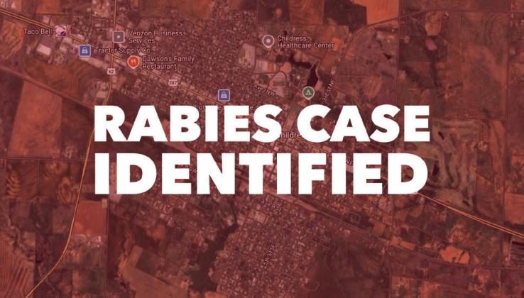 According to the Texas Department of State Health Services, a skunk, found dead in a yard on Ave. C SE in Childress, tested positive for rabies on Thursday, Feb. 27. The Red River Sun