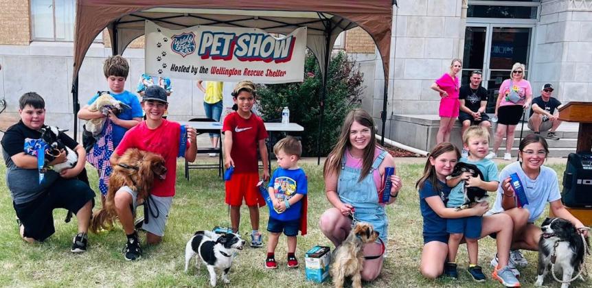 Wellington Rescue Shelter conductsWild &amp; Free Pet Show