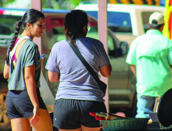 Childress Farmers Market, Rustic Pearl Market hit the bricks