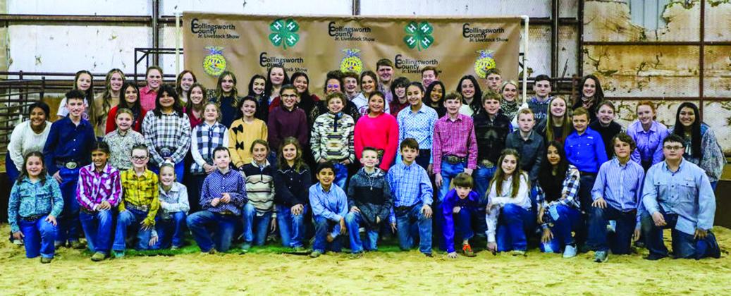 Collingsworth youth reap rewards of livestock show projects