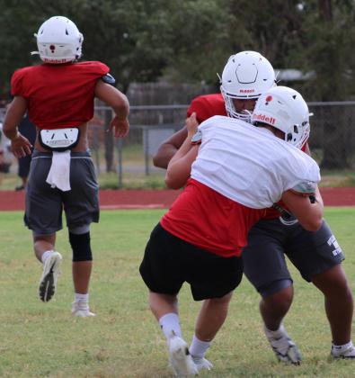 Wellington players don pads for Rocket Pride