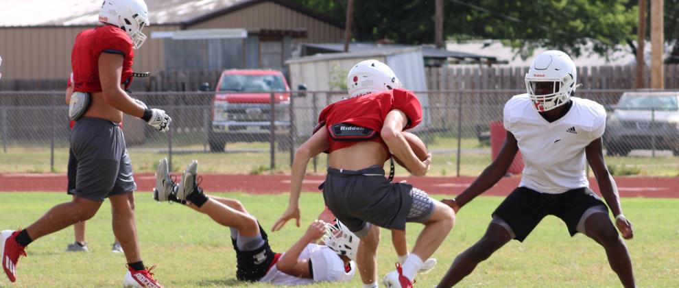 Wellington players don pads for Rocket Pride