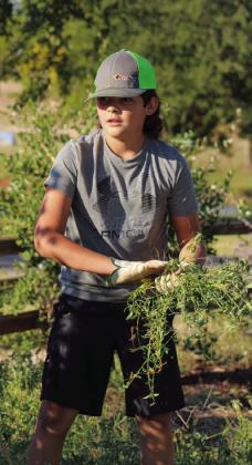 Childress County 4-H celebrates National 4-H Week