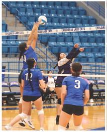 Battle of the Lady Cats