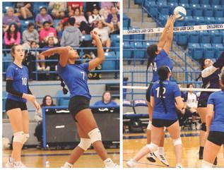 Battle of the Lady Cats