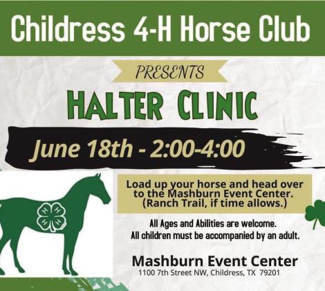 Childress 4-H Horse Club to present Halter Clinic