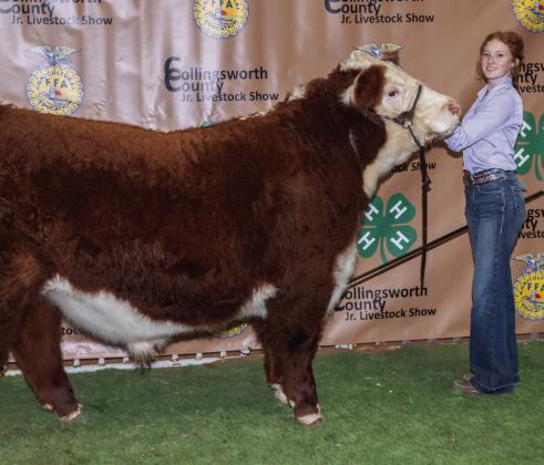 Bailey Page exhibits the Reserve Grand Champion steer with her English entry.