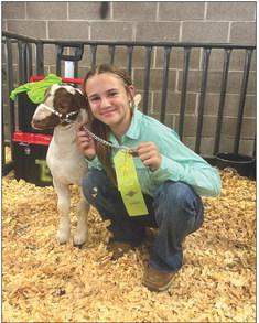 Kaitin Elhert places seventh at the Tri-State Fair in Amarillo with her medium weight goat.