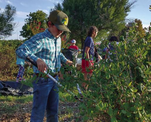 Childress County 4-H joins forces to celebrate National 4-H Week
