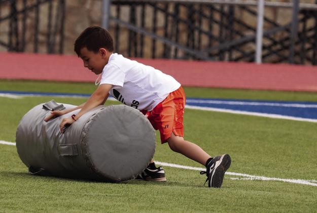 Bobcat camps a ‘success’