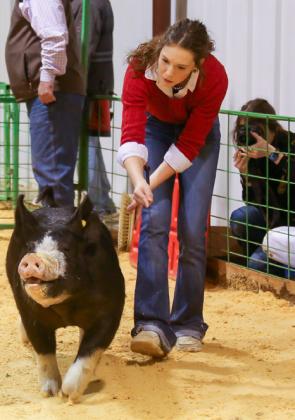 Emma Talley exhibits the Grand Champion Gilt Saturday, Jan. 20 at the 2024 Hall County Jr. Livestock Show.