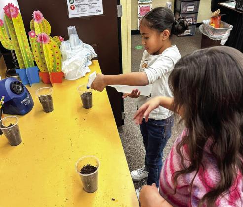 Young scientists study plant life