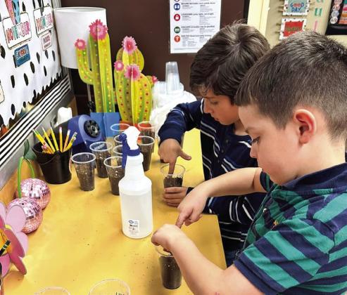 Young scientists study plant life