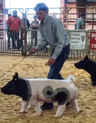 Seniors share perspectives on livestock show projects