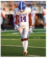Bobcats battle Bushland in tough loss