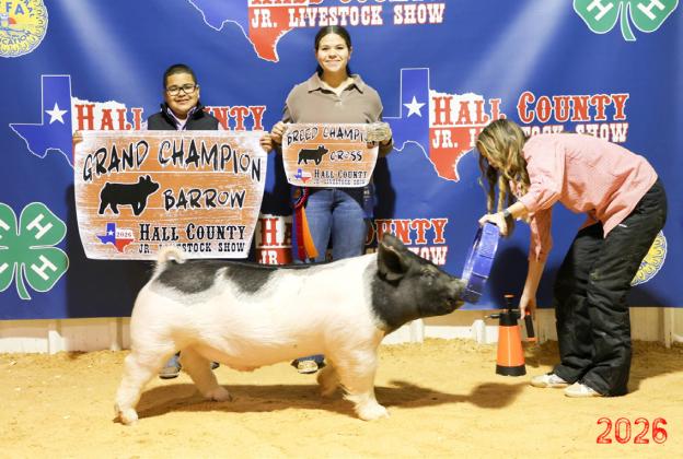 Briel Casas takes the Grand Champion Barrow at the Hall County Junior Livestock Show Saturday, Jan. 31 in Memphis.
