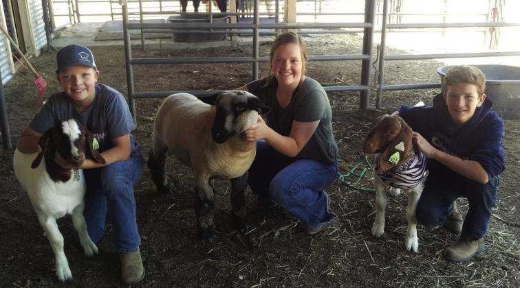 Texas 4-H students show prized livestock.