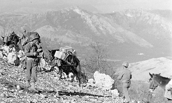 Pack mules on a mountain top in Italy. Floyd Killough Collection