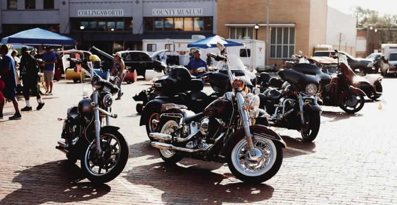 Wild &amp; Free on 83 attracts crowd