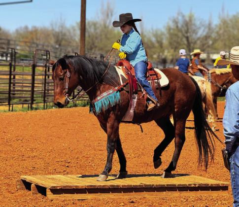 Childress County 4-H Horse Club meets