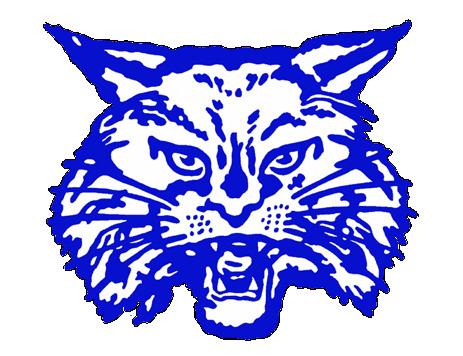 Bobcats lead in area stats