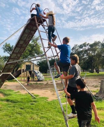 Supporters turn out for Ellison Park renovation reveal