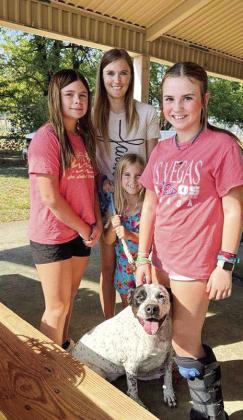 Free rabies clinic vaccinates over 150 pets