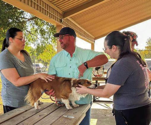 Free rabies clinic vaccinates over 150 pets
