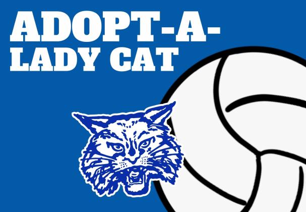 Childress Independent School District (ISD) students, ranging from pre-kindergarten through sixth grade, can Adopt-a-Lady Cat this volleyball season. The Red River Sun