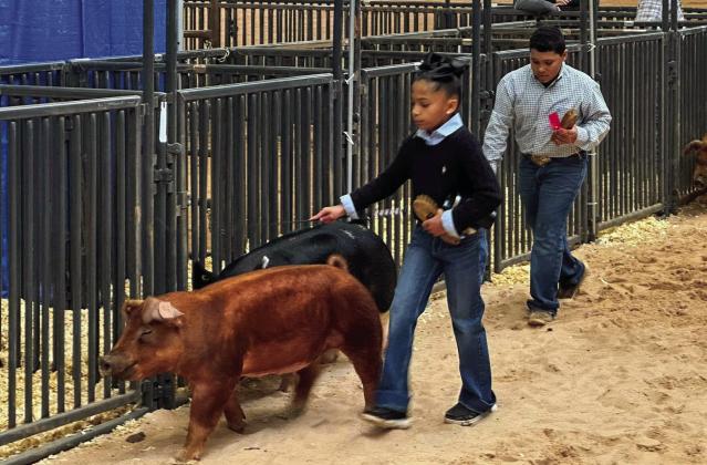 2023 Childress County Youth Project Show
