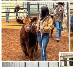 2023 Childress County Youth Project Show