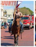 87th Annual Hall County Picnic provides weekend full of fun, entertainment