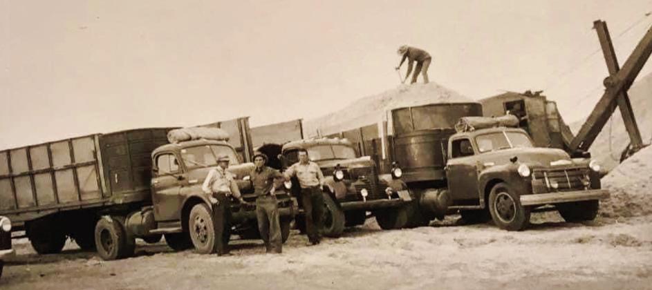 Workers at the Memphis Cotton Oil Mill unload seed.