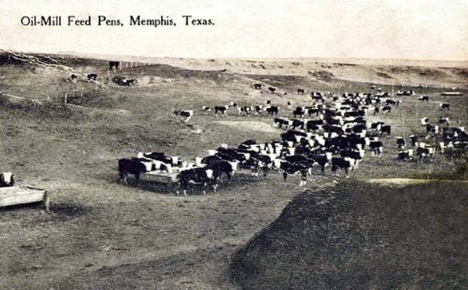 A postcard of the Oil-Mill Feed Pens in Memphis. Photos Courtesy of John R. Ballew