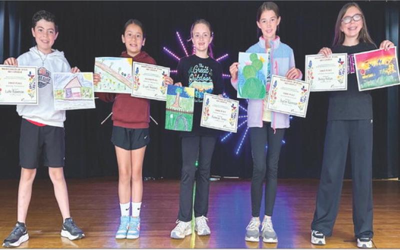 Wellington Sparklers shine in art