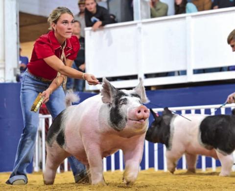Tillman takes second and makes state fair sale