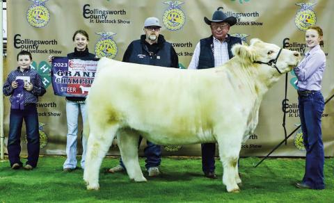 Collingsworth County youth reap rewards at 2023 livestock show