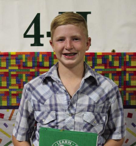 Sterling Bruce placed fourth at district in Record Books – Beef Cattle.