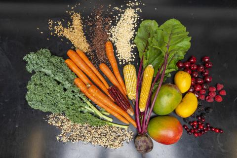 Figuring out how to introduce healthy eating habits might seem overwhelming at first, but you don’t need to make too many changes at once. Texas A&amp;M AgriLife Today/Michael Miller